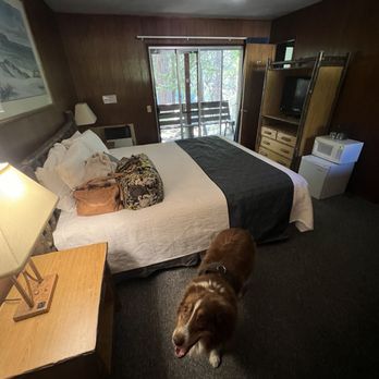 Sierra Pines Resort - Pet friendly cabins! - American Near Me - Sierra City, California Sierra Pines Resort - Pet friendly cabins! - American Near Me - Sierra City, California