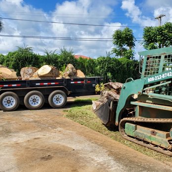 Villa Tree Trimming - 2 Giant old rotting Mango trees excellent work . Amazed with the magnitude of this job Mahalo - Tree Services Near Me