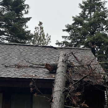 Jeremiah's Tree Service - Tree Services Near Me - Tahoe City, California Jeremiah's Tree Service - Tree Services Near Me - Tahoe City, California