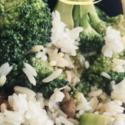 Hoja Asian Fusion - Beef with Broccoli + Fruit fly