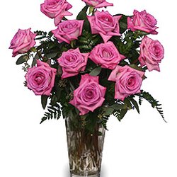 Roses are for every day !
