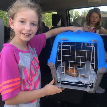 Pleasanton Veterinary Hospital - Off for our check up - Veterinarians Near Me - Pleasanton, California