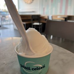 Gelati Celesti - Sorbet