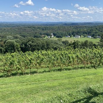 Benmarl Winery - Vineyard view - Wineries Near Me - Marlboro, New York Benmarl Winery - Vineyard view - Wineries Near Me - Marlboro, New York