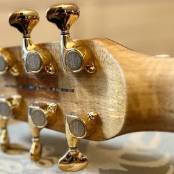 Hawkins Guitar - Hawkins Brazilian Rosewood Guitar