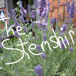 The Stem Shire