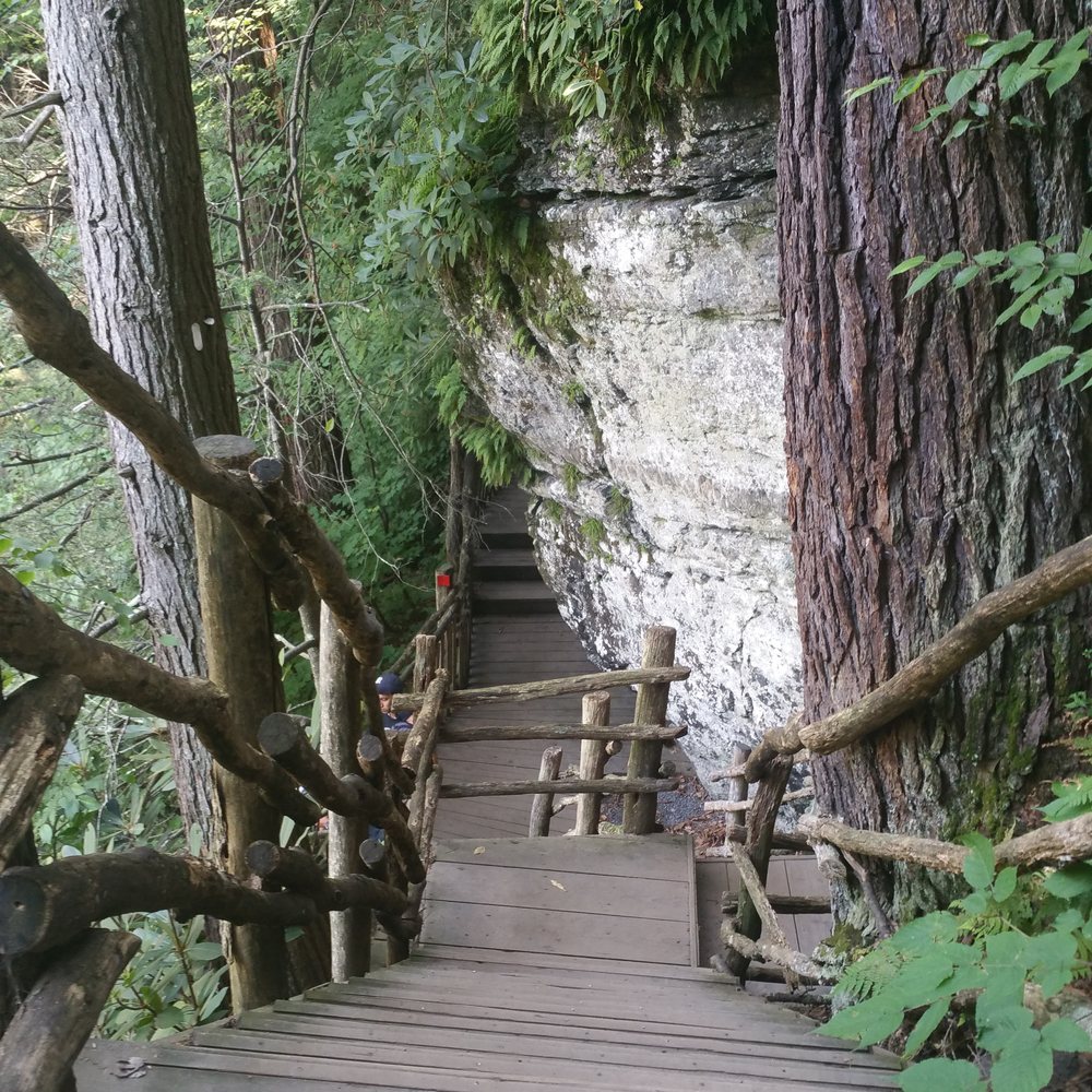 Bushkill Falls - Lots of stairs! ;) - Tours Near Me - Bushkill, Pennsylvania