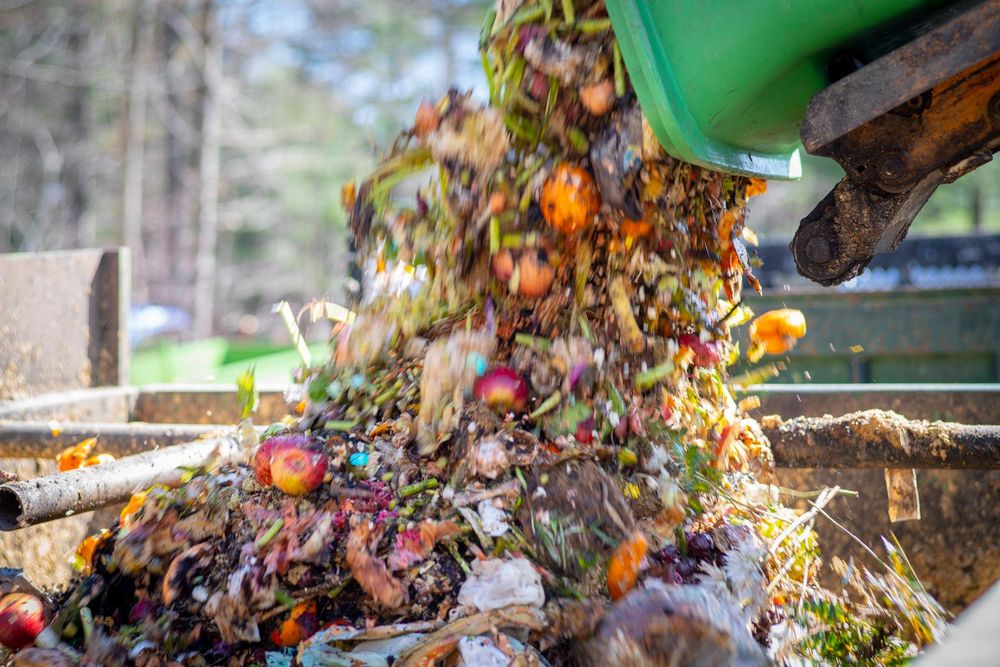 GARBAGE TO GARDEN Updated September 2024 17 Photos 352 Presumpscot St, Portland, Maine