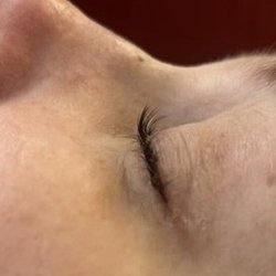 Black Cherry Beauty Studio - Lashes after lift and tint--they are natural, just permed and dyed!