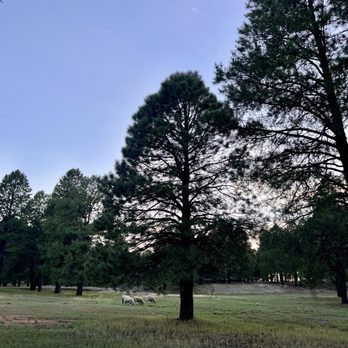 Tru by Hilton Flagstaff - View from the parking lot - Hotels Near Me - Flagstaff, Arizona