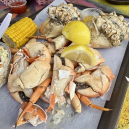 Rock Crab