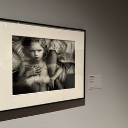 Museum Of Photographic Arts