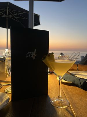 The Turtle Club by null