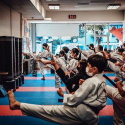 Alpha Martial Arts