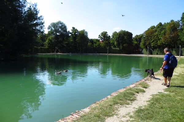 Parco Ducale by null