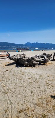 Spanish Banks Beach by null