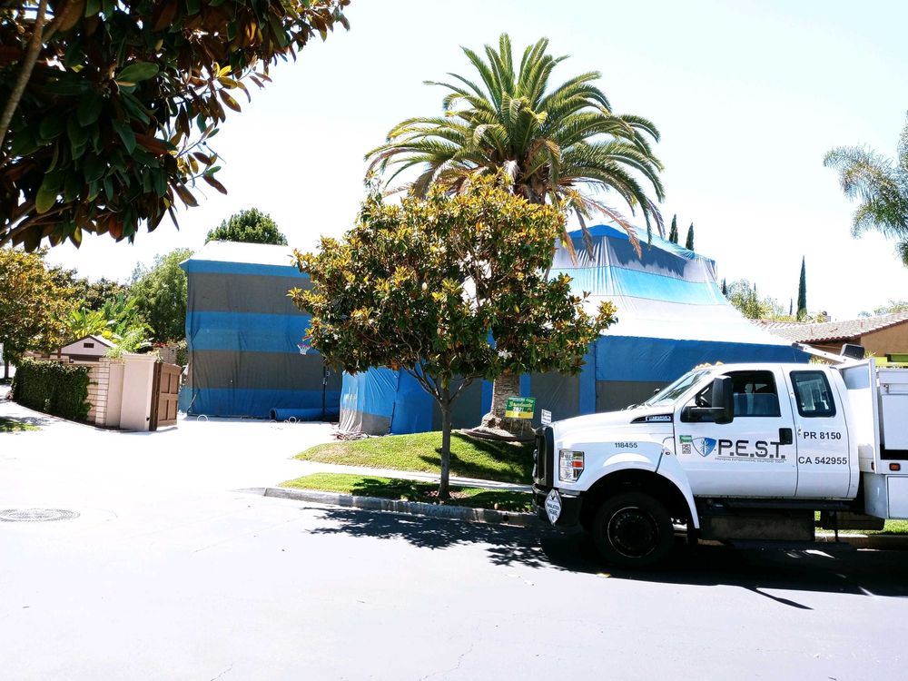 THE PEST GROUP Updated August 2024 Request a Quote 16 Photos