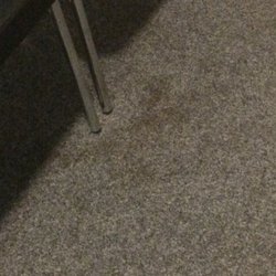 Dynamix Mörfelden - Teppich im Flur, auch nicht grade appetitlich