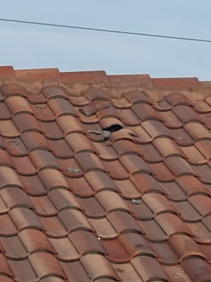 The Inn at Cocoa Beach by null