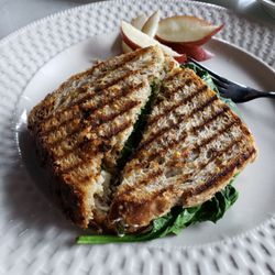 The Fierce Grizzly - Mozzarella Pesto Panini