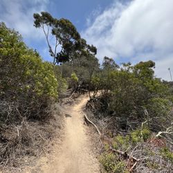 Torrey Highlands Dog Park