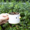 Wild Goose Coffee Roasters gift card