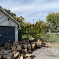 Chavez Tree Service - After