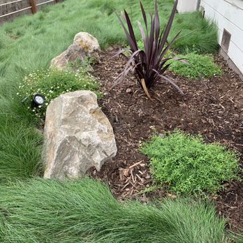 M R Landscaping - Front planting bed and drought resistant "no mow" grass - Landscaping Near Me M R Landscaping - Front planting bed and drought resistant "no mow" grass - Landscaping Near Me