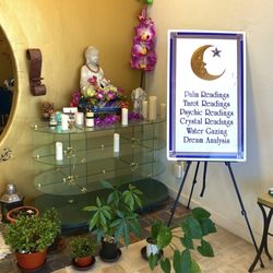 Psychic Om - Money Trees and other spiritual plants