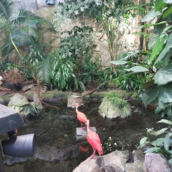Vancouver Aquarium - Aquariums Near Me - Vancouver, British Columbia Vancouver Aquarium - Aquariums Near Me - Vancouver, British Columbia
