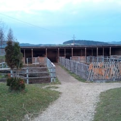 Streichelzoo