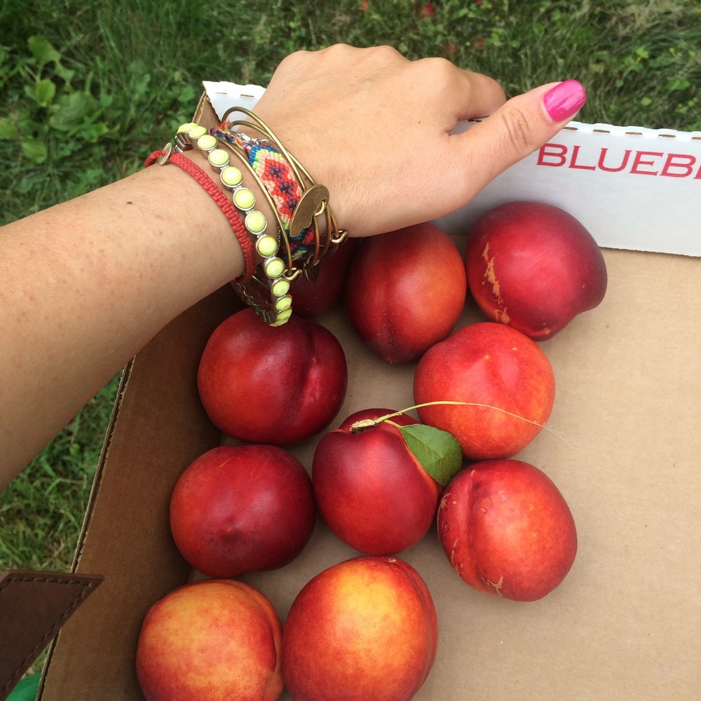 Carlson Orchards - Filling my box - Fruits & Veggies Near Me - Harvard, Massachusetts Carlson Orchards - Filling my box - Fruits & Veggies Near Me - Harvard, Massachusetts