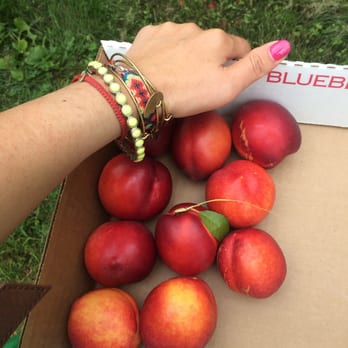 Carlson Orchards - Filling my box - Fruits & Veggies Near Me - Harvard, Massachusetts