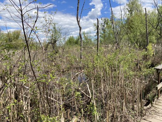 Saugerties Lighthouse by null