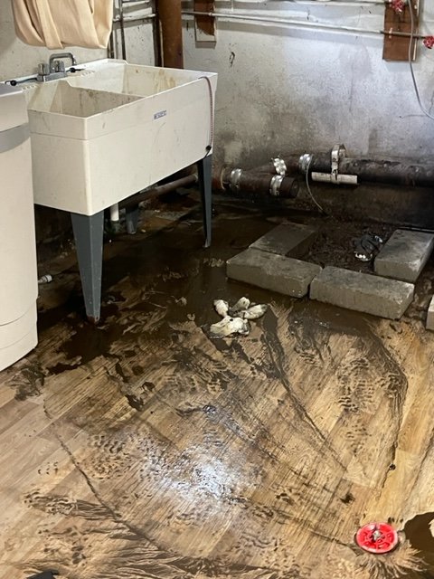 Slide of Service Professionals