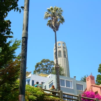 Filbert Steps - Local Flavor Near Me - San Francisco, California Filbert Steps - Local Flavor Near Me - San Francisco, California