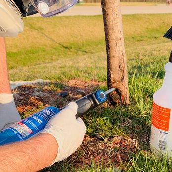 Olson Tree Care - Tree Surgery by Olson Tree Care. - Tree Services Near Me - West Des Moines, Iowa Olson Tree Care - Tree Surgery by Olson Tree Care. - Tree Services Near Me - West Des Moines, Iowa
