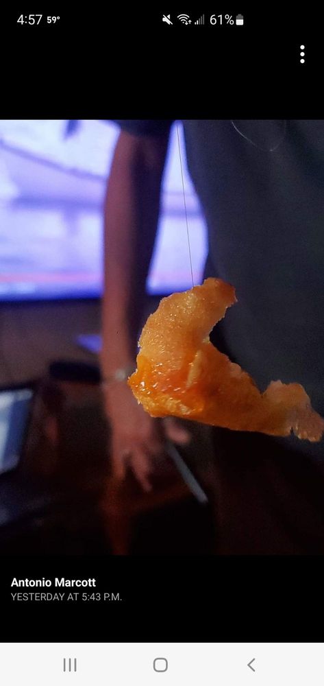 Hk Wong's Palace Restaurant