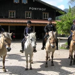 Pony-Reithof Sankt Margarethen