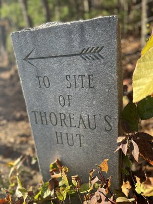 Walden Pond State Reservation by null