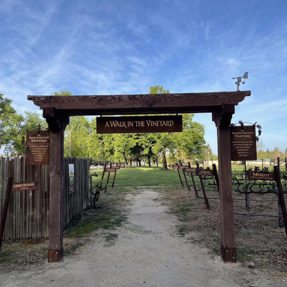 Åppellation - The vineyard educational experience - Venues & Event Spaces Near Me - Lodi, California Åppellation - The vineyard educational experience - Venues & Event Spaces Near Me - Lodi, California