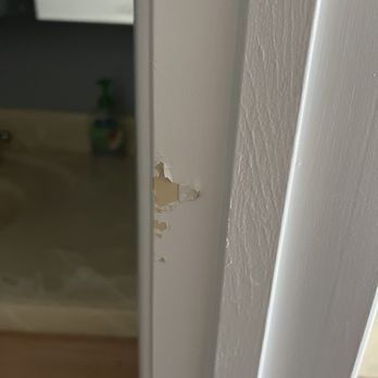 Rising Phoenix Painting - Painters Near Me Rising Phoenix Painting - Painters Near Me