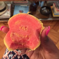 Hortifruti - Guava