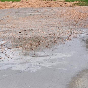 J & J Tree Services - Tree Services Near Me