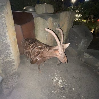 Garbage Goat - Trash Goat ! - Landmarks & Historical Buildings Near Me - Spokane, Washington Garbage Goat - Trash Goat ! - Landmarks & Historical Buildings Near Me - Spokane, Washington
