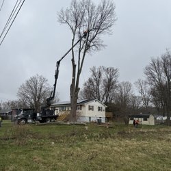 JKE Contracting - Cutting tree with bucket truck