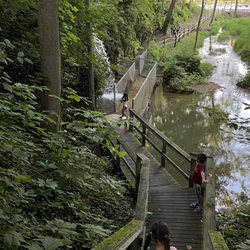 Thousand Trails Bear Cave - Patio run