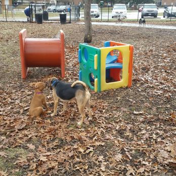Godown Dog Park - So picture worthy of Bella and beagle dog - Dog Parks Near Me - Columbus, Ohio Godown Dog Park - So picture worthy of Bella and beagle dog - Dog Parks Near Me - Columbus, Ohio