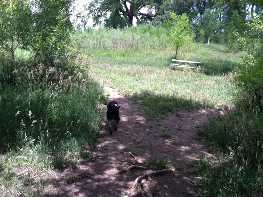 Tony Grampsas Dog Park 4471 Salvia St Golden Co Parks Mapquest