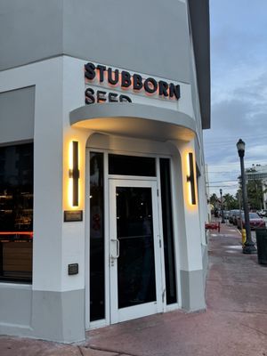 Stubborn Seed - Miami Beach by null